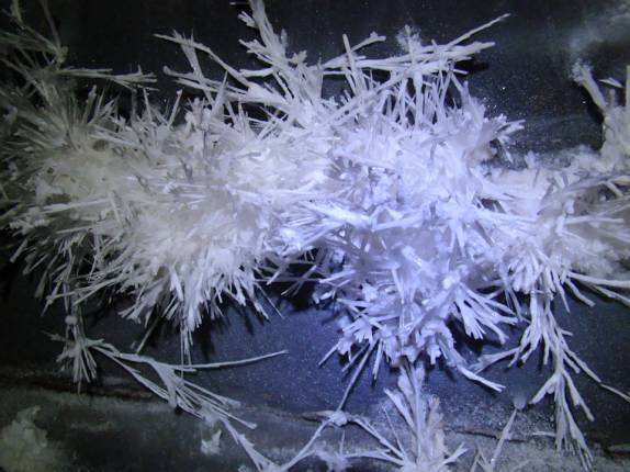 Flores de aragonita, no Salão dos Cristais - Caverna Santana - PETAR - Foto do Jura, da Parque Aventuras